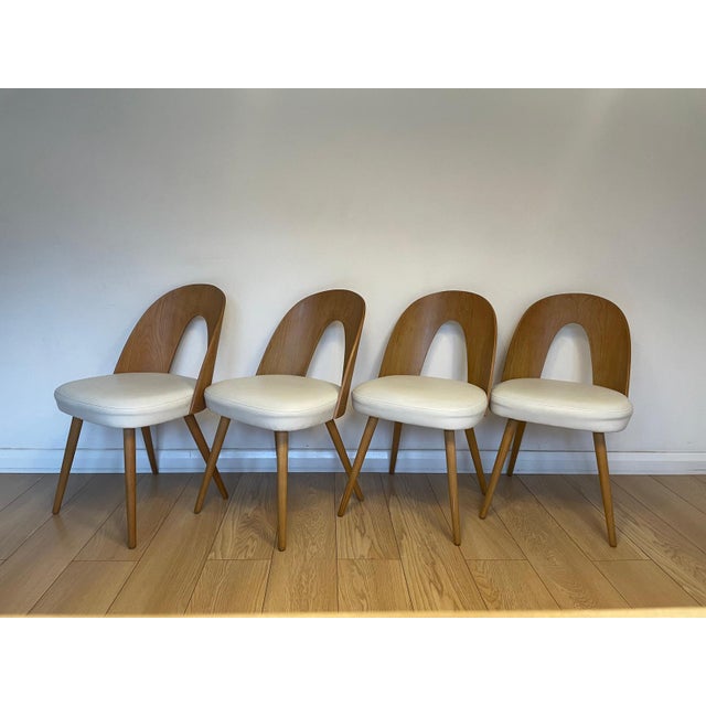 Dining Chairs attributed to A. Suman for Tatra Nabytok, Former Czechoslovakia, 1960s, Set of 4 For Sale - Image 4 of 5