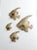 Mid Century Fish Wall Art Set of 4 For Sale - Image 6 of 10