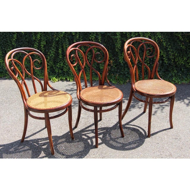 19th Century Bistro Chairs in the style of Thonet, 1890s, Set of 8 For Sale - Image 4 of 14