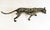 Art Deco Bronze Black Panther Statue For Sale - Image 9 of 10