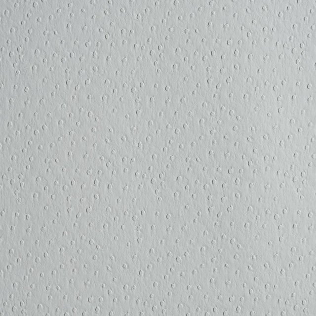 Schumacher Ostrich Vegan Leather Fabric In Fog For Sale