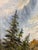 Vintage Signed Original Mountain Landscape Oil Painting on Canvas | Framed Alpine Forest Scene | 31” X 25.5” For Sale - Image 13 of 13