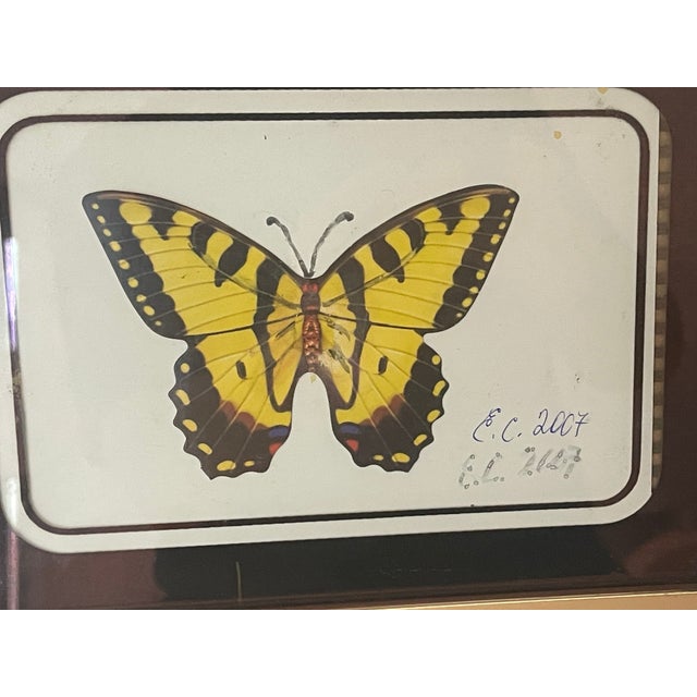 1970s Vintage Butterfly Collage in Antique Brass Frame For Sale - Image 5 of 5