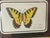 1970s Vintage Butterfly Collage in Antique Brass Frame For Sale - Image 5 of 5