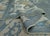 Taupe Turkish Oushak Rug 9'2" x 12'3" #18515 For Sale - Image 8 of 8
