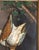 Gray 19th Century Continental European Painting of Game Birds For Sale - Image 8 of 16