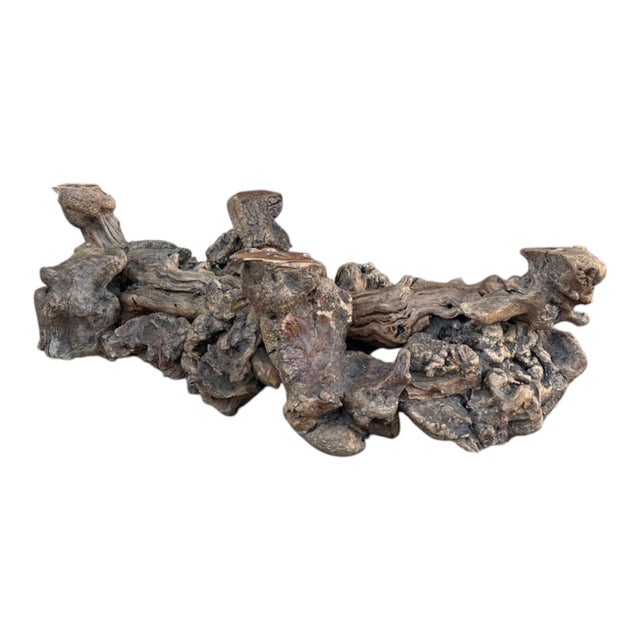 Vintage Sculptural Burl Wood Root Coffee Table With Glass Top – Organic Modern For Sale - Image 9 of 13