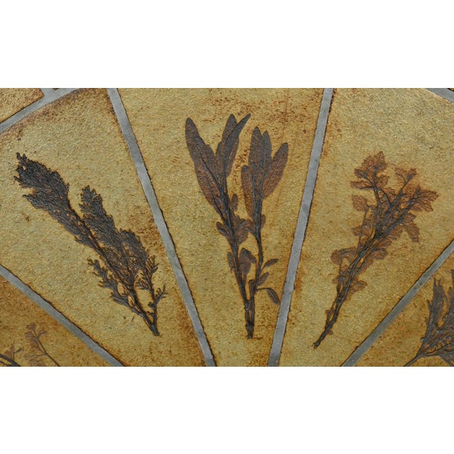 Wood Oval Les Herbiers Coffee Table by Roger Capron for Vallauris, 1960s For Sale - Image 7 of 18