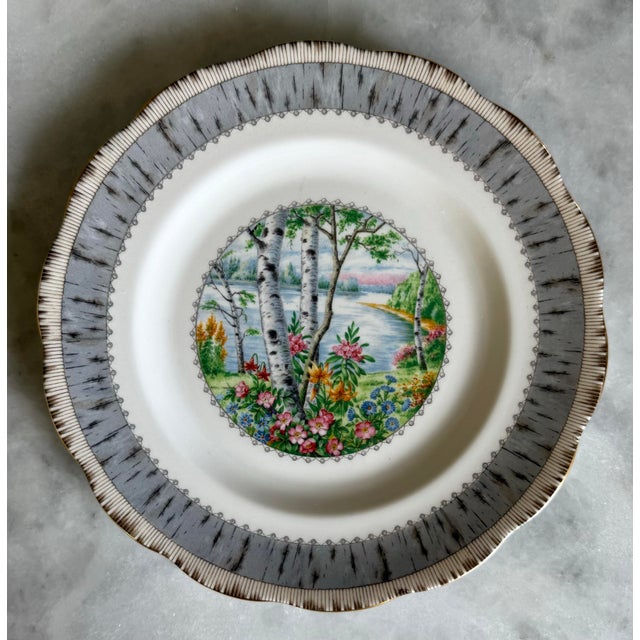English Set of 6 Royal Albert Bone China Salad Plates in the Silver Birch Pattern For Sale - Image 3 of 10