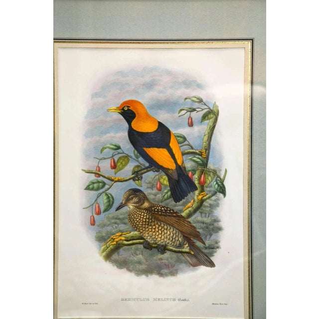 1920s 1920s Fine ly Framed Lithographs - a Pair For Sale - Image 5 of 9