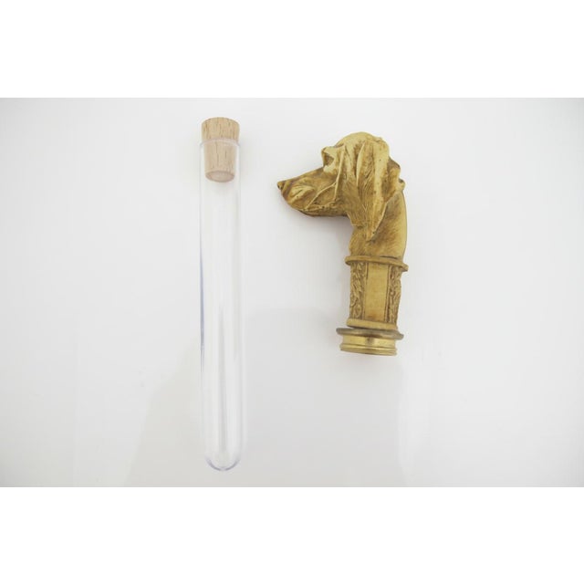 Early 20th Century Victorian Style Carved Wood Dog Head Smugglers Cane Walking Stick W/Hidden Flask For Sale - Image 5 of 10