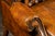 Amber Mid 20th Century Tufted Leather Wingback Armchair in Amber For Sale - Image 8 of 9