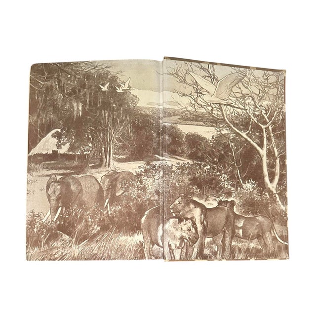 Vintage First Edition Four Years in Paradise & I Married Adventure Books by Osa Johnson,, a Pair For Sale - Image 9 of 12
