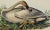 Realism Audubon Trumpeter Swan: An Original 1st Edition Hand Colored Audubon Bird Lithograph, 1840 For Sale - Image 3 of 3