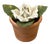 Vintage Petite Potted French Porcelain Bisque & Tole White Rose Flower / Floral Arrangement in Terracotta Pot For Sale