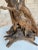 Mid-Century Modern Monumental Organic Driftwood Sculptural Table Lamp For Sale - Image 3 of 12