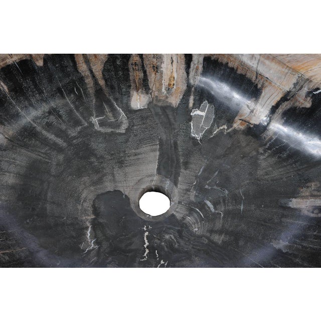 Stone Petrified Wood Hand Wash Basin by Xyleia Petrified Wood For Sale - Image 7 of 8