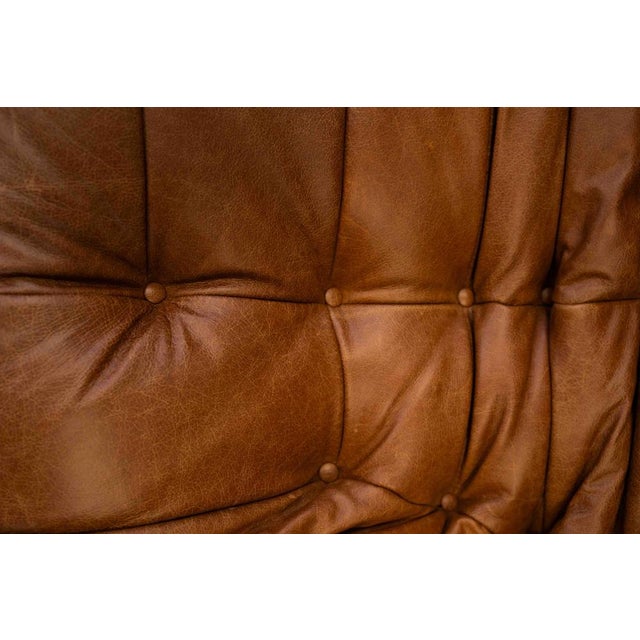 Vintage Two-Seater Togo Sofa with Arms in Brown Pine Leather by Michel Ducaroy for Ligne Roset, 1970s For Sale - Image 12 of 18