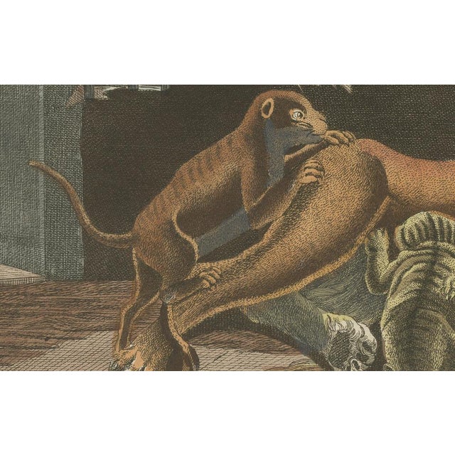 Black Bertuch, a Lioness and Her Cubs, 1810, Engraving For Sale - Image 8 of 9