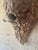 Exceptional one-of-a-kind vintage American folk art wall sculpture incorporating a naturally occurring bird nest within a...