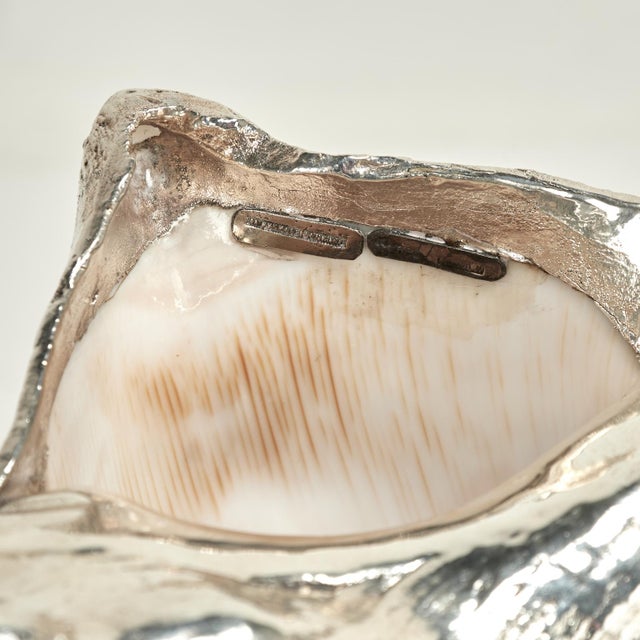 Mid Century Italian Sterling Coated Seashell by Federico Buccellati For Sale In West Palm - Image 6 of 7