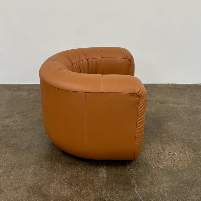 2020s De Sede Ds-707 Canada Armchair For Sale - Image 5 of 9