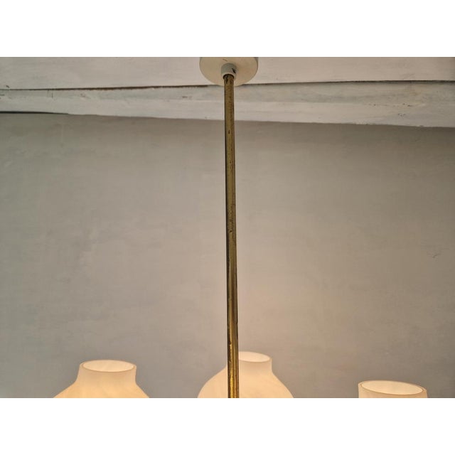 Mid-Century Tulip Glass Chandelier, 1950s For Sale - Image 13 of 16