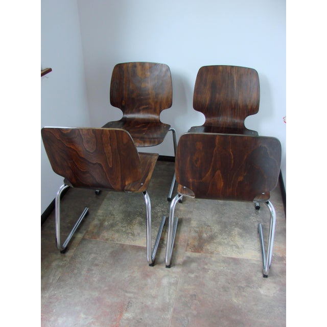 Flötotto Chairs by Kusch+Co, 1960s, Set of 4 For Sale - Image 12 of 15