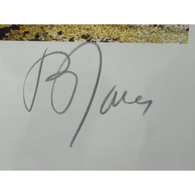 R. Jones Cordials III + IV Series Prints, Set of Two Limited Editions For Sale - Image 10 of 12