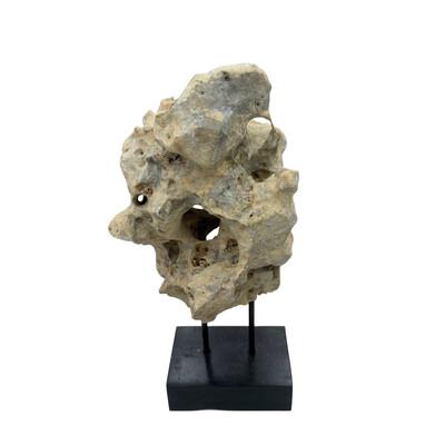 Tribal Indonesian Coral Stone On Teak Stand For Sale - Image 3 of 5