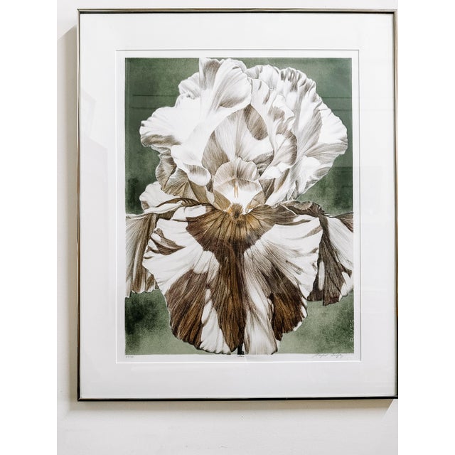 Vintage 1992 Framed Iris Litho print by renowned Chicago Artist Winifred Godfrey. Signed and Numbered with artist...