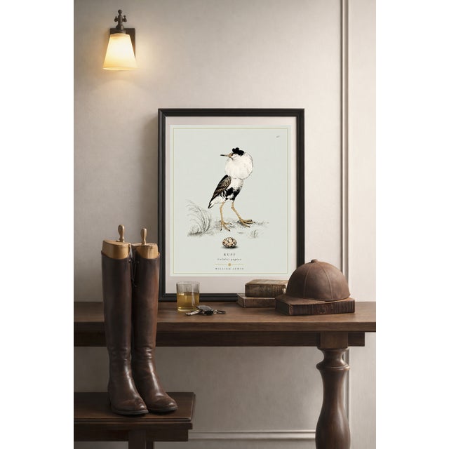 Paper William Lewin 1789 Waterbirds Fine Art Gallery Board Print - The Ruff For Sale - Image 7 of 11