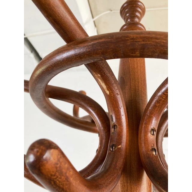 Early 20th C Thonet Style Bentwood Coat and Hat Rack For Sale In Kansas City - Image 6 of 7