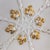 1920s Meissen White and Gold Serving Bowl For Sale - Image 5 of 7