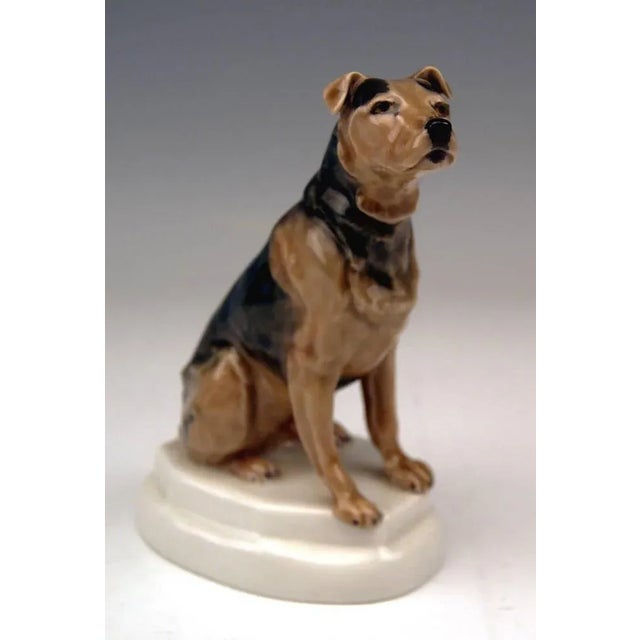 Meissen lovely figurine of dog: it is a type of british smooth fox terrier sitting on white oval base / the dog's body is...