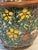 Vintage Benjarong Porcelain Lidded Vessel For Sale - Image 10 of 13