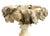 Grand Tour Antique Miniature Italian Alabaster Pedestal Bowl With Grapes and Dolphins For Sale - Image 3 of 11