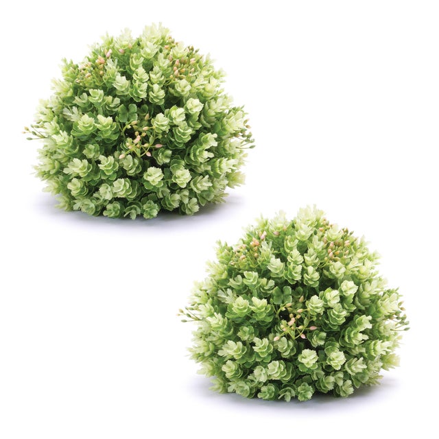 Brighten your home this spring with the Foliage Half Orbs, featuring vibrant green hops leaf foliage. Crafted from durable...