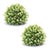 Brighten your home this spring with the Foliage Half Orbs, featuring vibrant green hops leaf foliage. Crafted from durable...