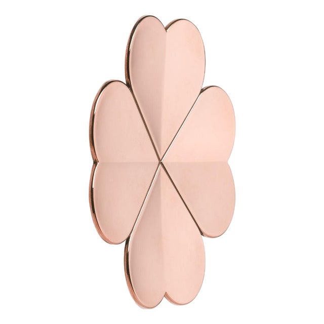 Lucky Pink Burnished Brass Single Coat Hook by Richard Hutten For Sale
