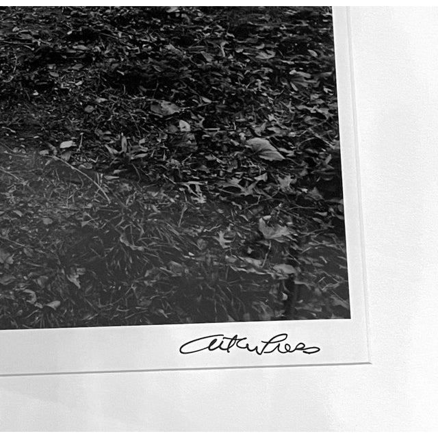 Framed Black and White Photograph by Arthur Tress For Sale In Atlanta - Image 6 of 8