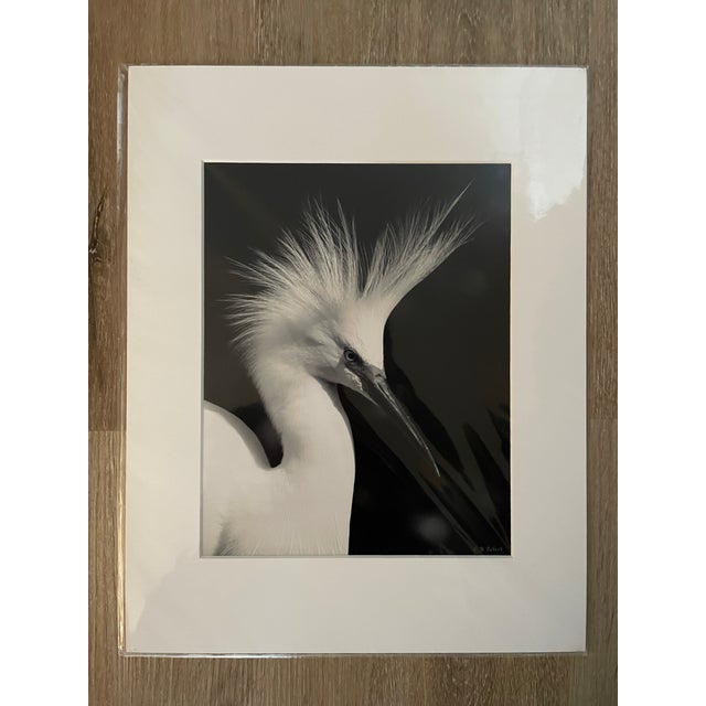 Contemporary Contemporary Lot of 3 New Matted B&w Original Photographs Signed by Robin Rebeck For Sale - Image 3 of 16