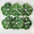 1990s 1990s Vintage Hollywood Regency Boho Chic Majolica Cabbage Ware Dinner Plates - Set of 6. For Sale - Image 5 of 14