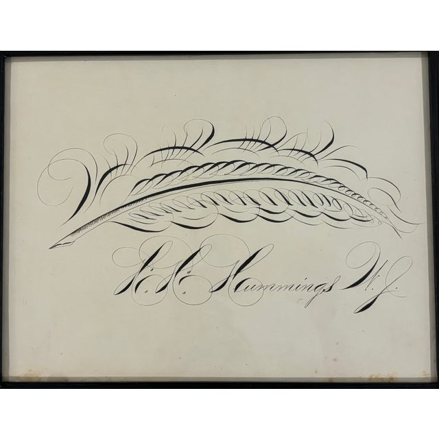 19th Century American Spencerian Calligraphy Penmanship Feather Flourish, Framed For Sale In Little Rock - Image 6 of 10