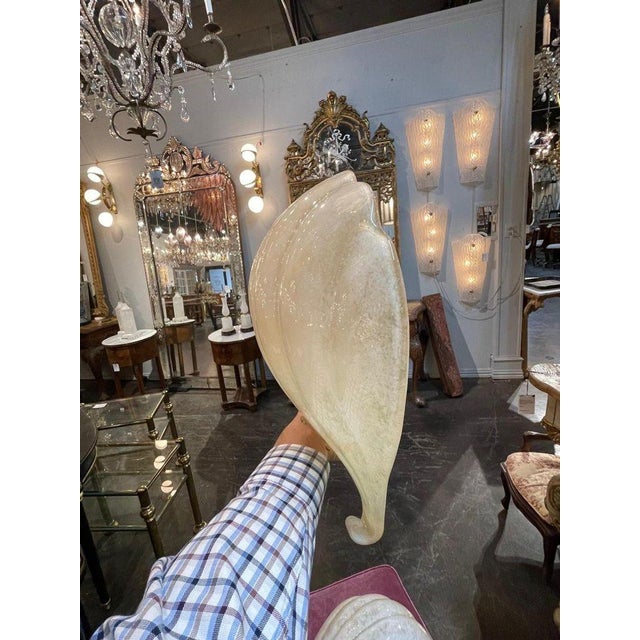 Early 21st Century Murano Shell Form Sconces - a Pair For Sale - Image 5 of 7