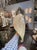 Early 21st Century Murano Shell Form Sconces - a Pair For Sale - Image 5 of 7