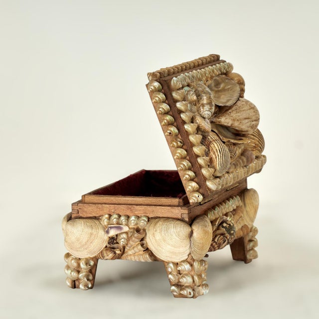 Beige Antique English Seashell Encrusted Music Box For Sale - Image 8 of 12