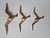 Brass Wall Decor Sculptures of Seagulls, Austria, 1963, Set of 3, in Very Good conditions. Designed 1960 to 1969