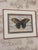 Late 20th Century Pair of John Richard Collection Butterfly Music Sheet Framed Art For Sale - Image 5 of 12