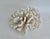 Chinoiserie Natural Pacific Elk Coral Specimen Coastal Home For Sale - Image 3 of 7
